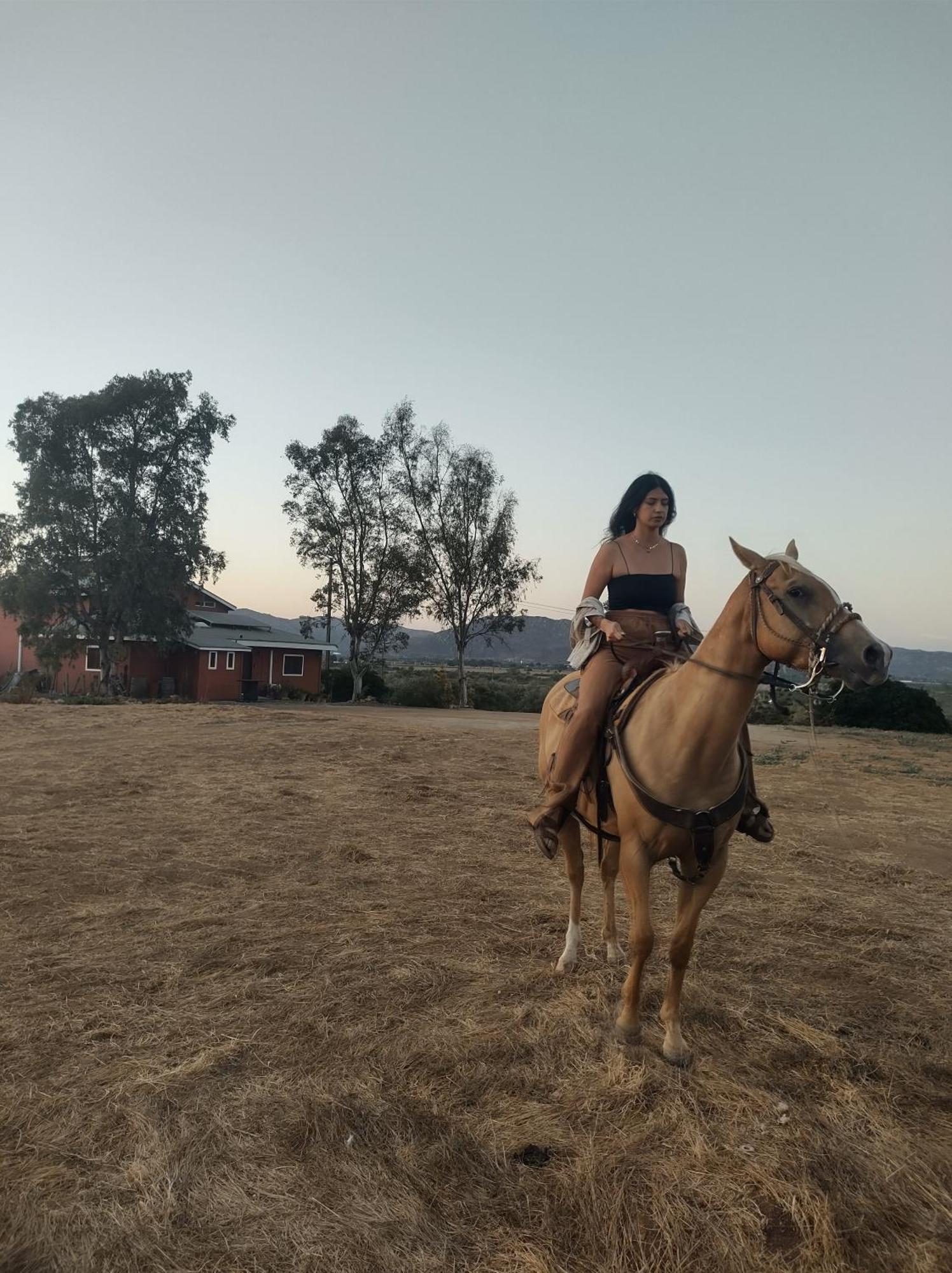 Rancho Los Amigos Cabin Lodge 恩塞纳达港 外观 照片